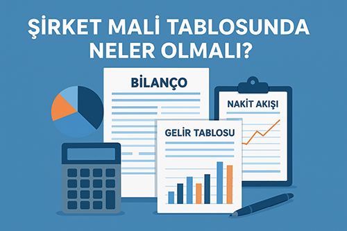 Şirket Mali Tablosunda Neler Olmalı?